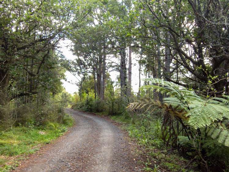 105 Bodhisattva Road Waitoki_28