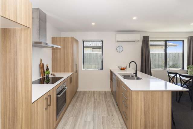 66 Broadway Parade Rolleston_4