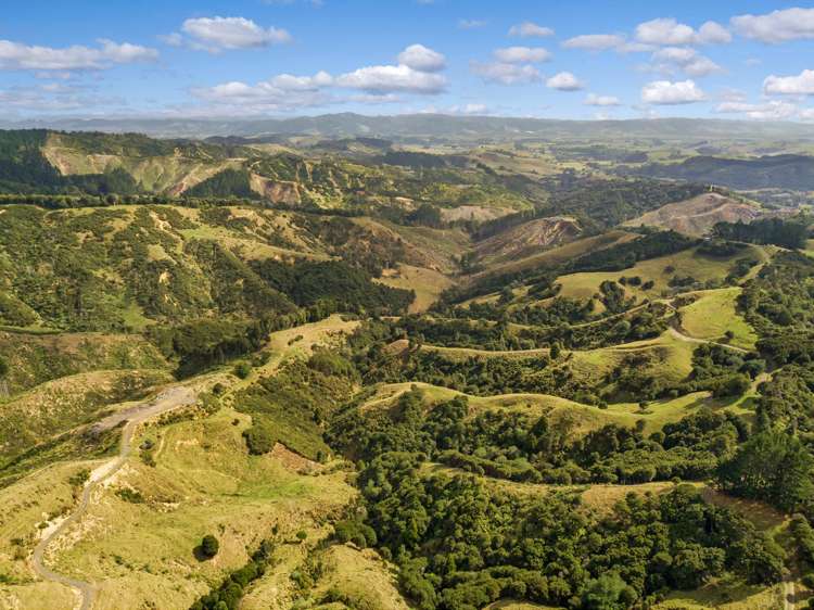 65 Moumoukai Hill Road Ness Valley_13