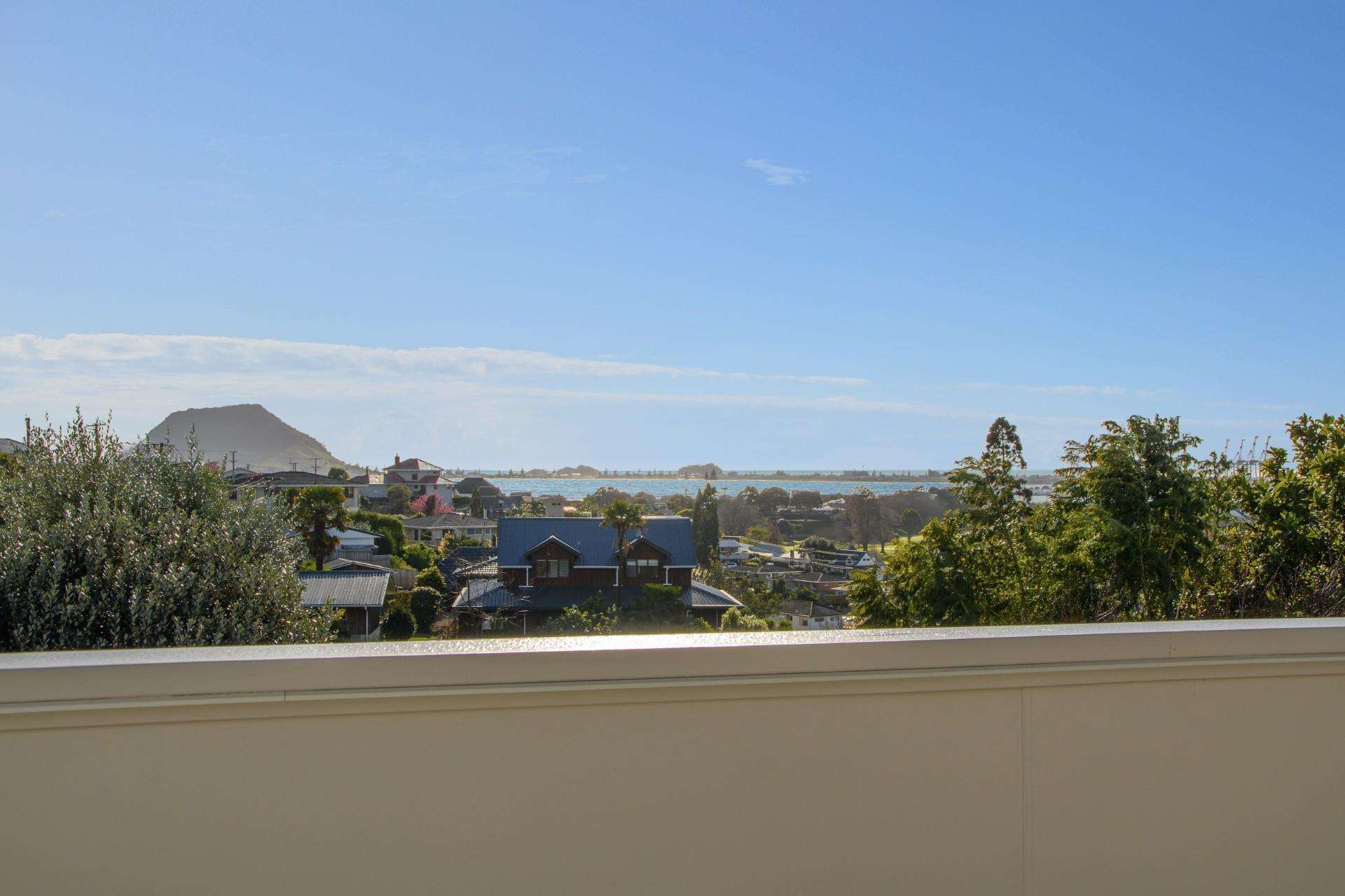 44B Whitaker Street Otumoetai_0