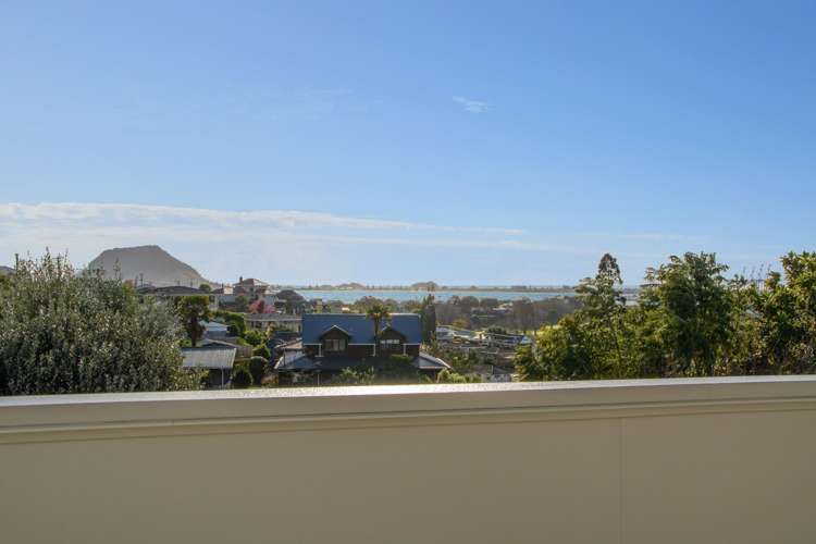 44B Whitaker Street Otumoetai_1