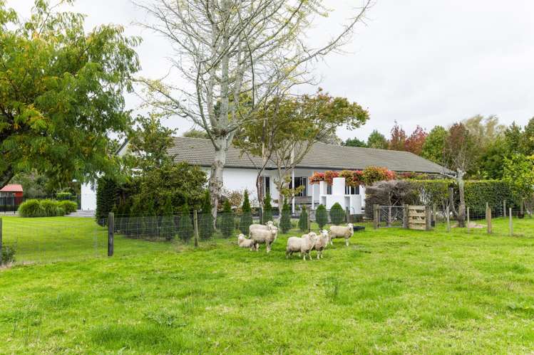 121 Somerton Road Makauri_20