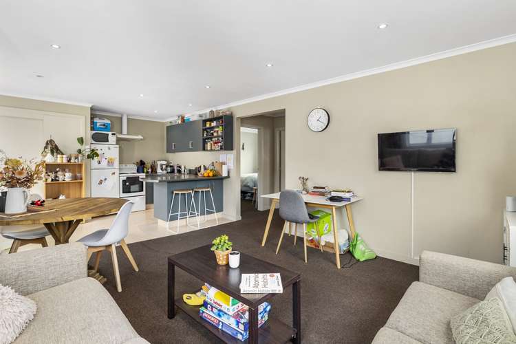 123 Harbour Terrace North Dunedin_10