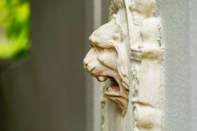 2B Evan Street Belmont_28