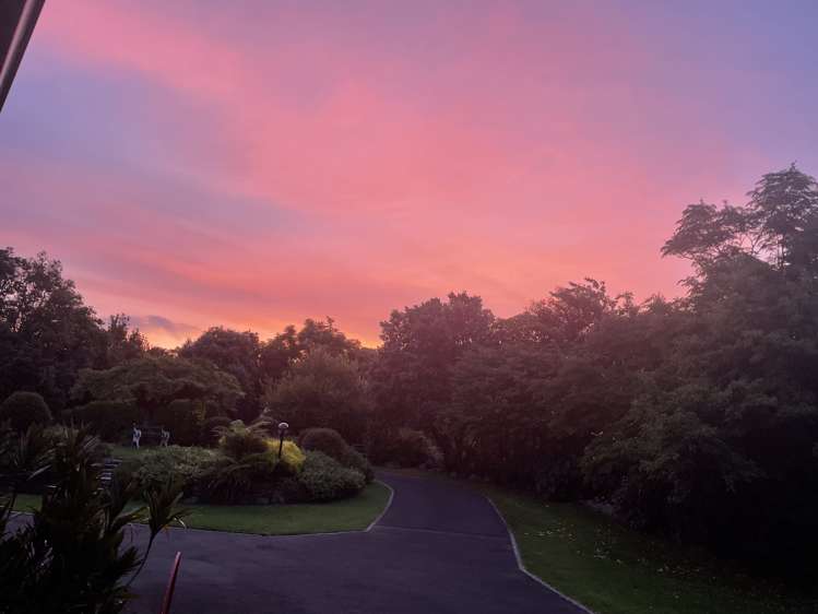 244 Lindemann Road Tahawai_53