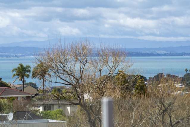 46 Parr Terrace Castor Bay_1