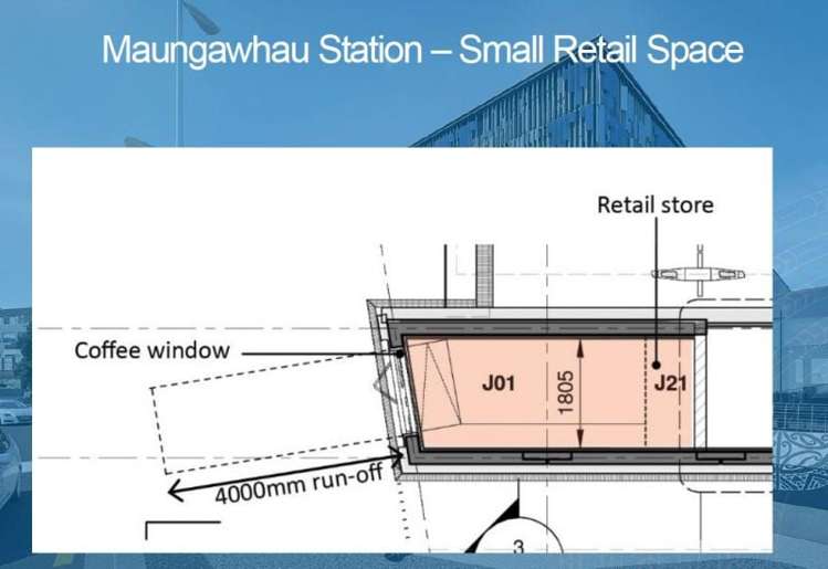 21 Ruru Street Eden Terrace_9