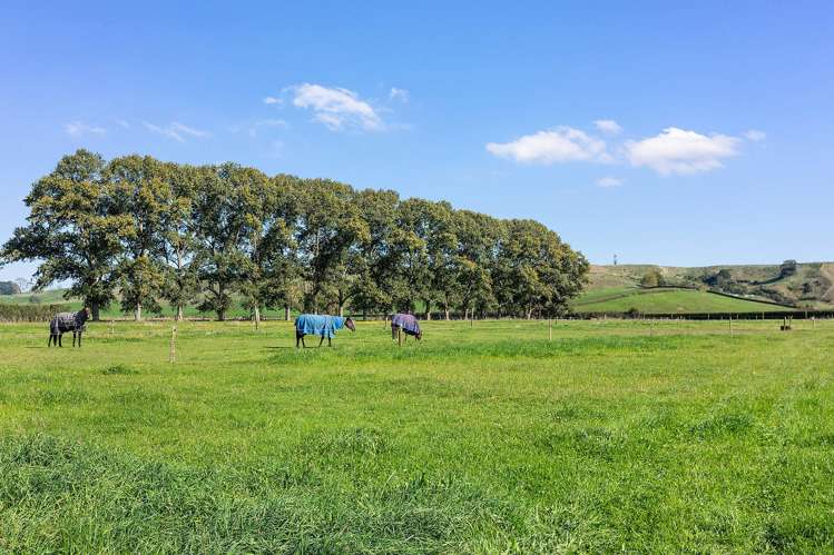 7 Taotaoroa Road Matamata_1