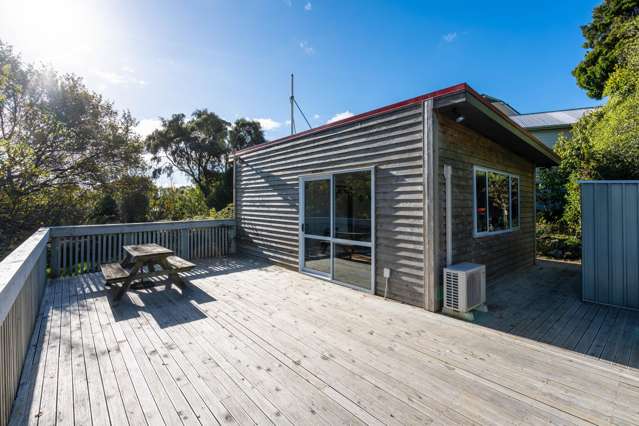 10 Ryan Street Portobello_2