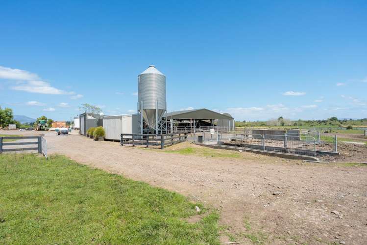 2031 Old Te Aroha Road Matamata-piako Surrounds_16