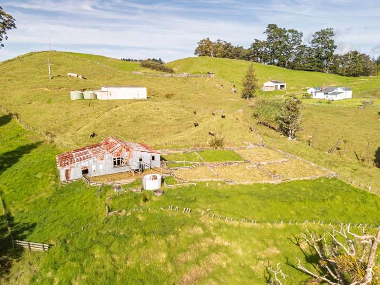 109 Paponga Road_4