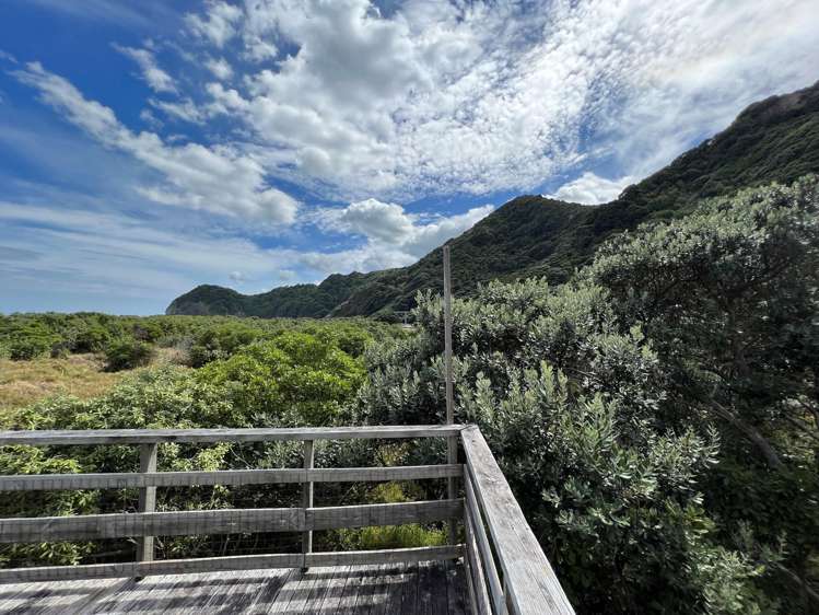36 North Piha Road Piha_17