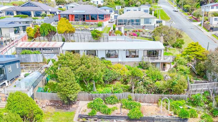 46 Walker Street Bluff_19