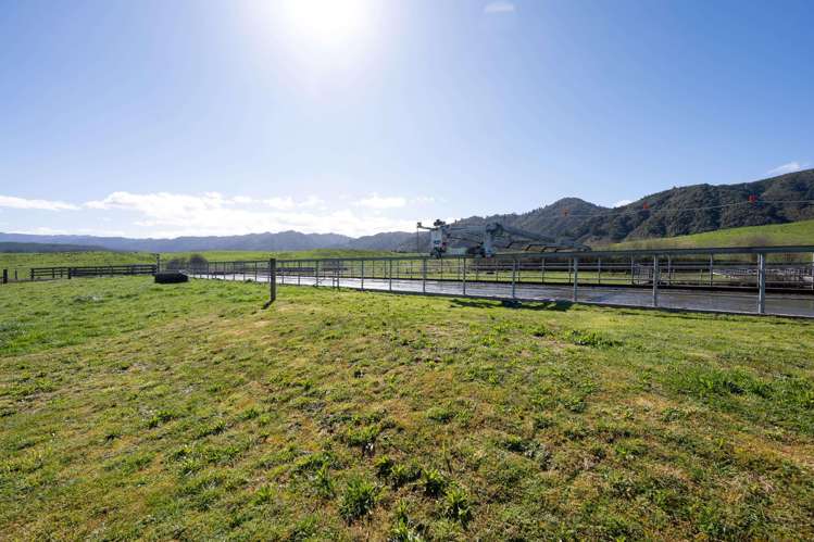 283 Minginui Road Galatea_29