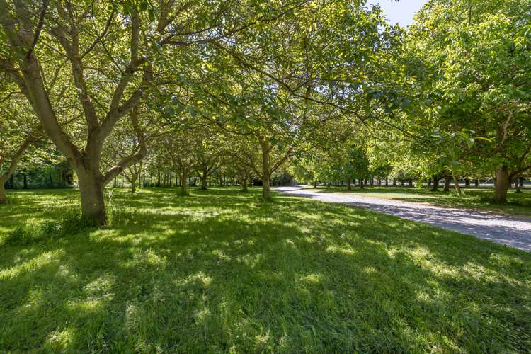 27 Guys Road Yaldhurst_18