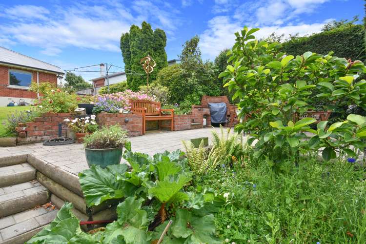 192 Pine Hill Road Dalmore_5