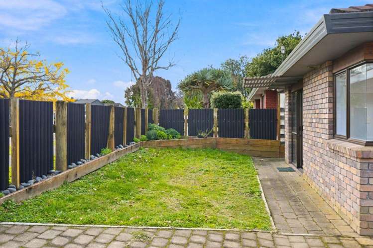 30B Selwyn Street 11234_10
