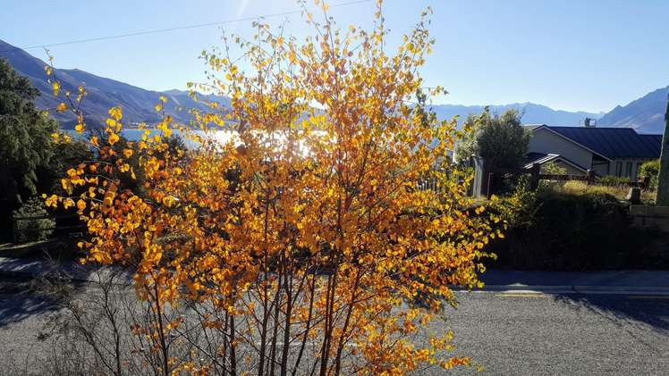 155 Lakeview Terrace Lake Hawea_19