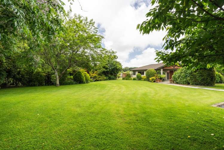 64 Lea Grove Levin_44