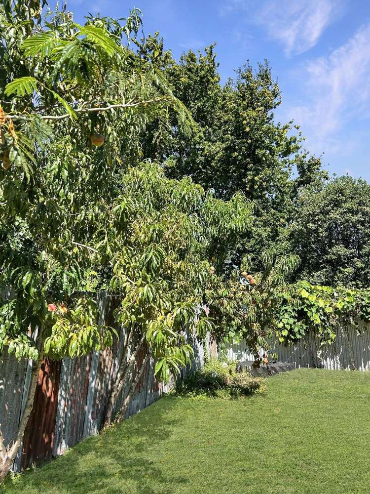 32 Brian Avenue 2120_10