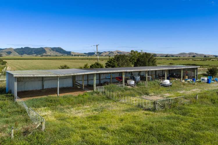 331 Kneebone Road Orini_13