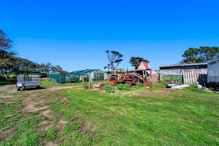 2 Tauhuri Street Manaia_15