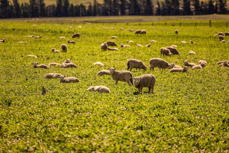 Address withheld Middlemarch_16