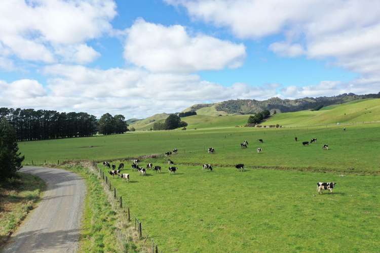 85289 State Highway 2 Eketahuna_18