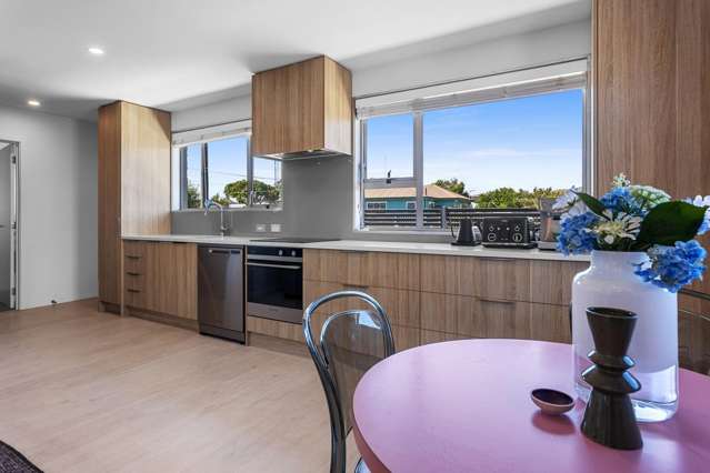 49 Bletsoe Avenue Spreydon_3