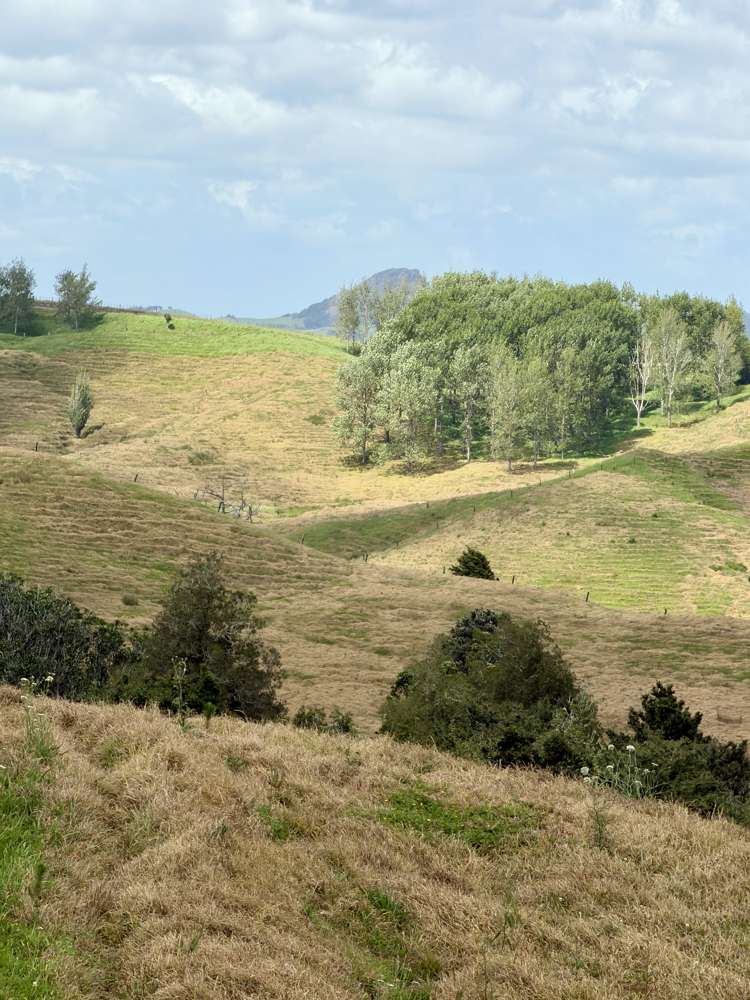 Pukehuia Road Arapohue_15