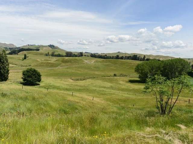 568 Maraetotara Road Central Hawkes Bay Coastal_2