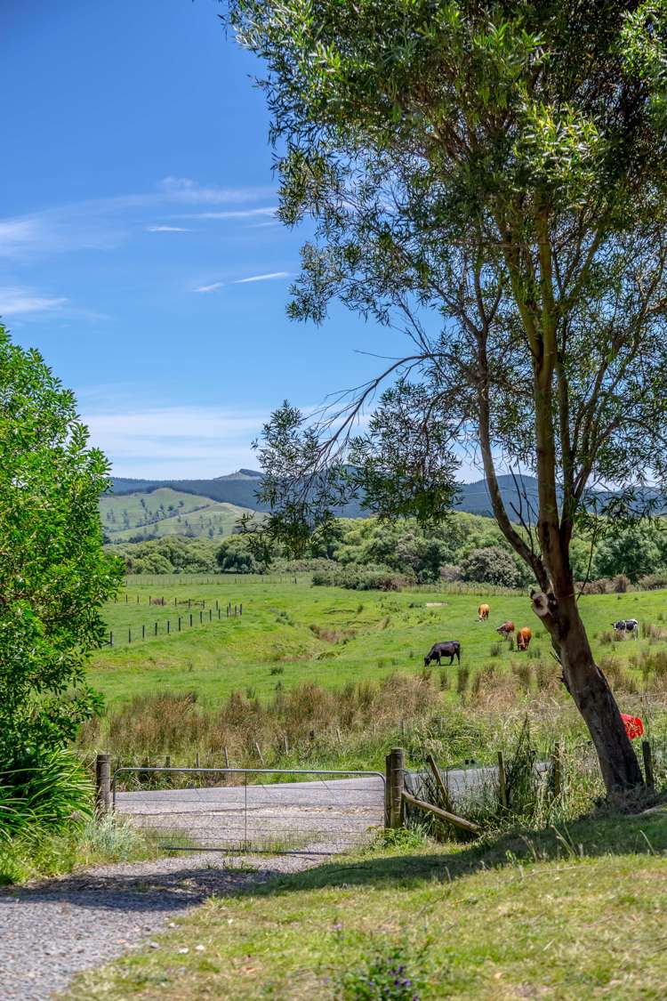 114 Ica Road Whareama_15