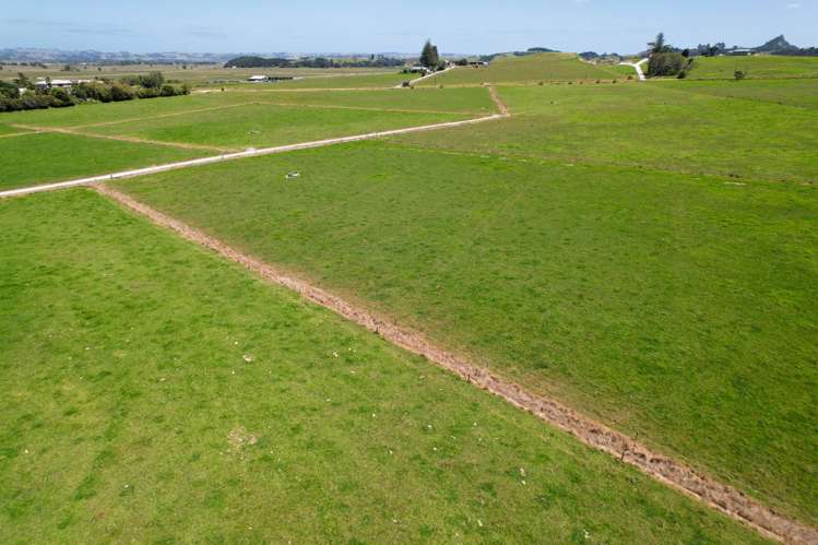 77 Molloy Road Ruawai_21