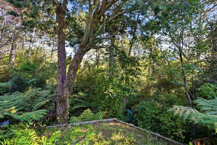 11A Saddleback Rise Murrays Bay_42