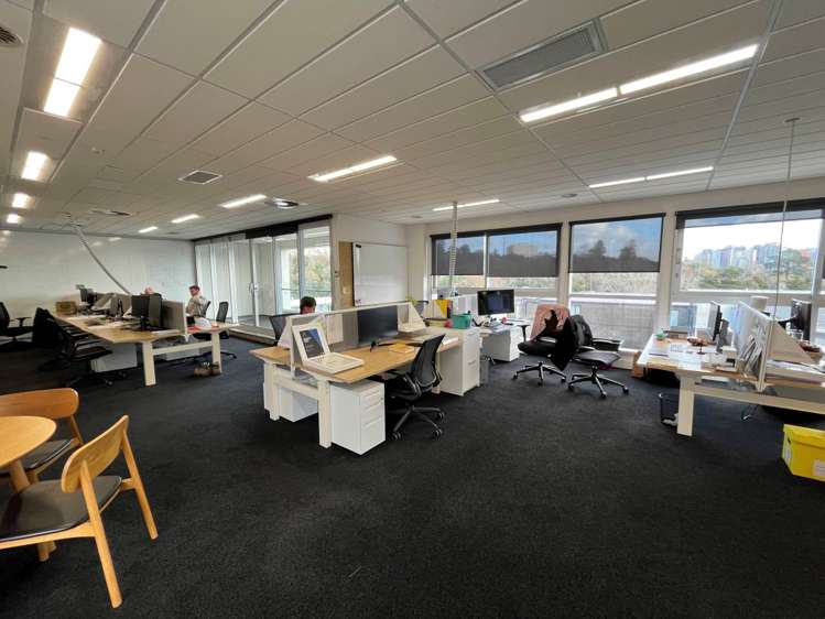 7 Falcon Street Parnell_5