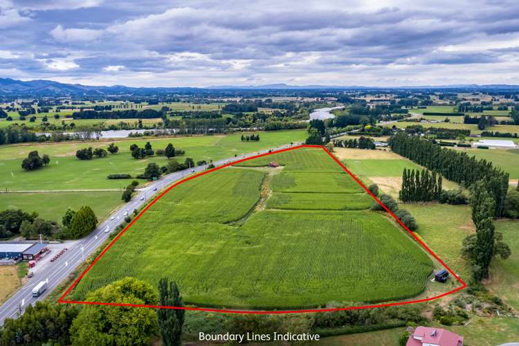 2520 State Highway 2 Greytown_4