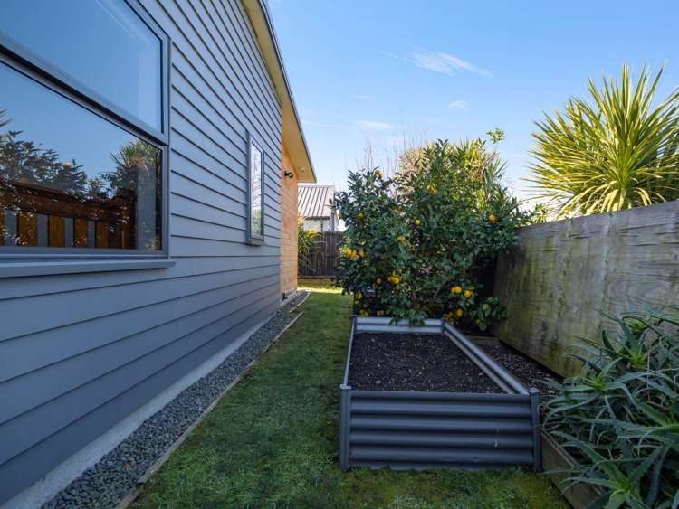 37 Lulu Avenue Chartwell_18