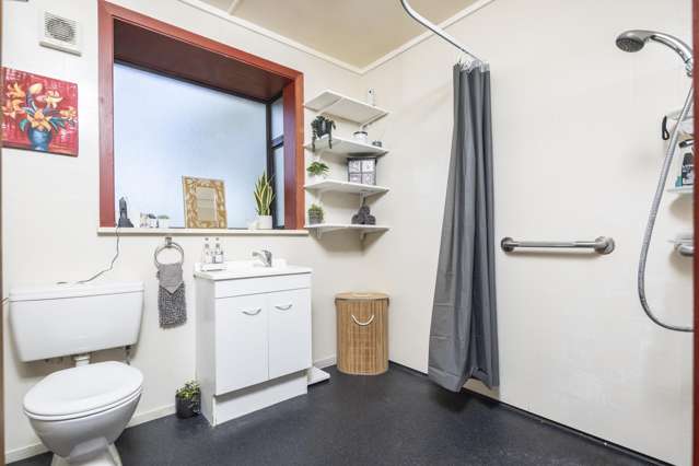 114 Dunrobin Street Waverley_4