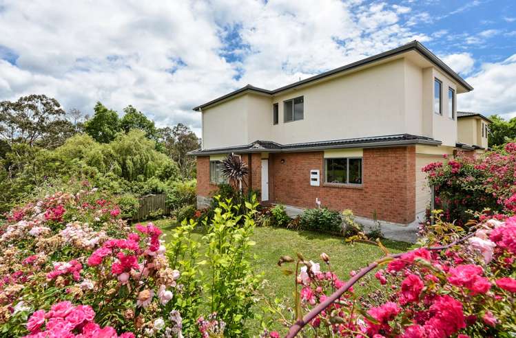 53 Garelja Road Henderson_21