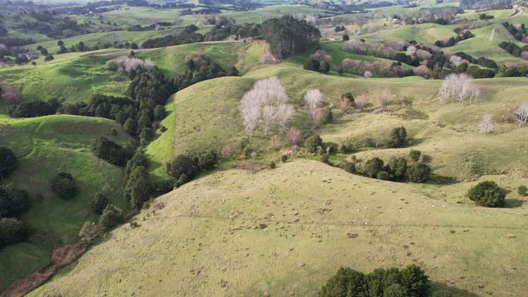 78 Otioro Road Topuni_9