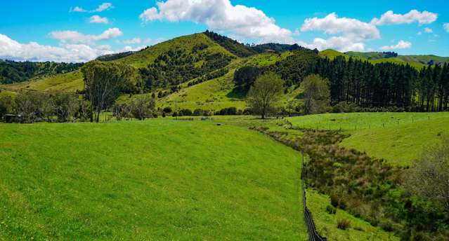 326 Dimmock Road Maramarua_1