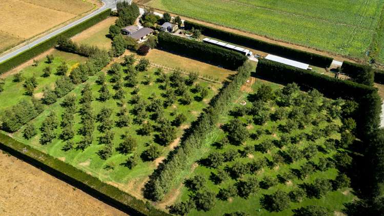 556 Steffens Road Oxford_23