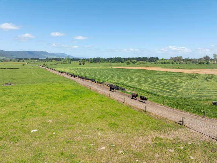 2031 Old Te Aroha Road Matamata-piako Surrounds_4
