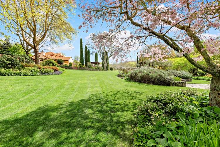 33 Poplar Lane Matangi_15