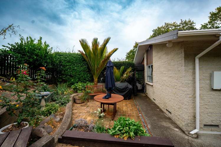 86B Pembroke Street Hamilton Lake_17