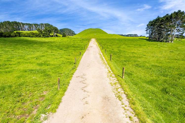 677 Newall Road Newall_5