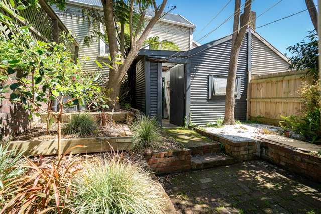 254 Adelaide Road Newtown_4
