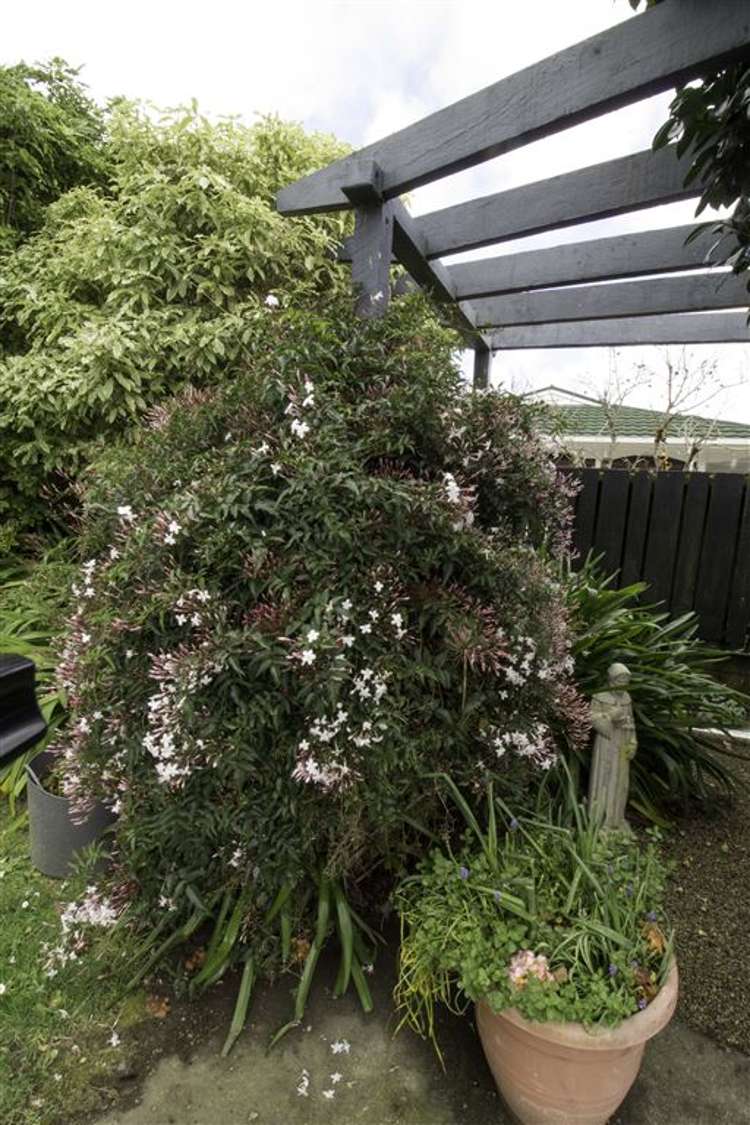 27 Tui Road Te Aroha_11