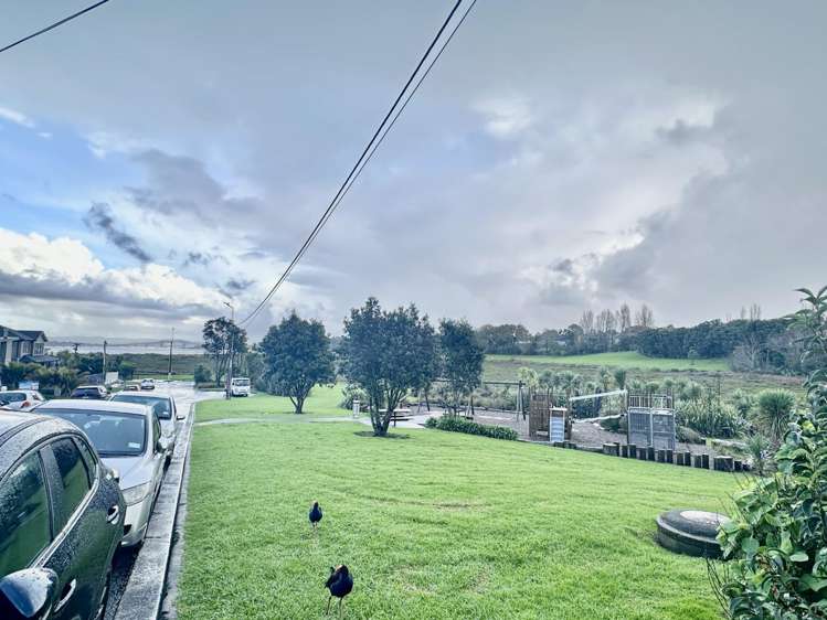 45d Kawerau Avenue Devonport_18