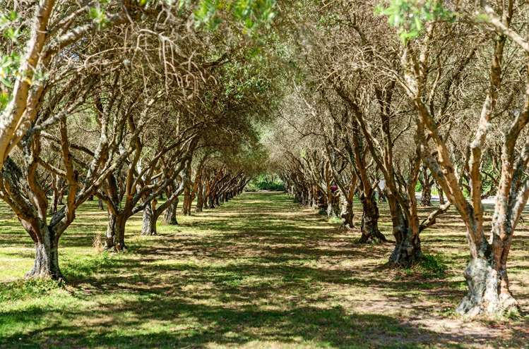 277 Upper Plain Road Upper Plain_16